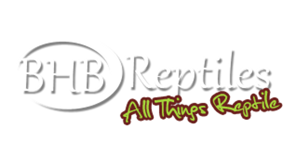 Brian barczyk reptile store best sale