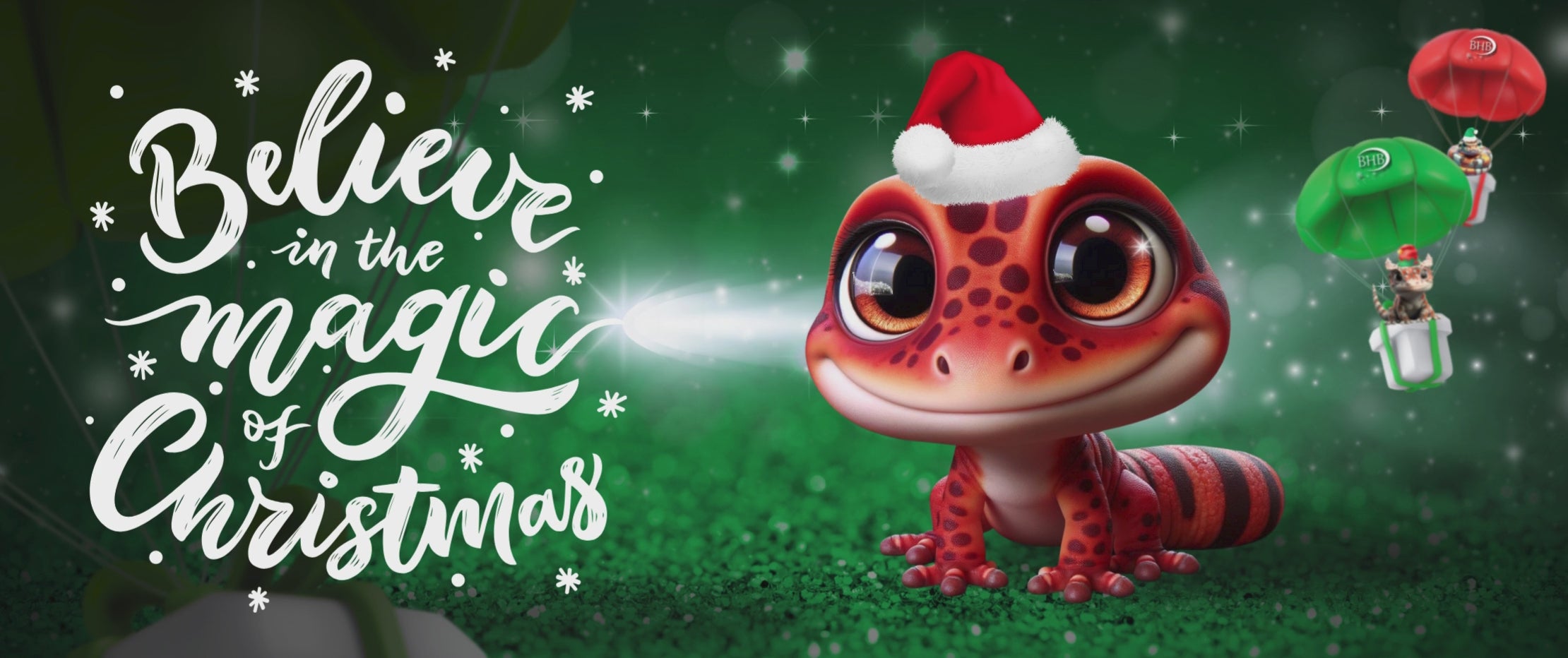 Load video: Believe In The Magic Of Christmas With BHB Reptiles