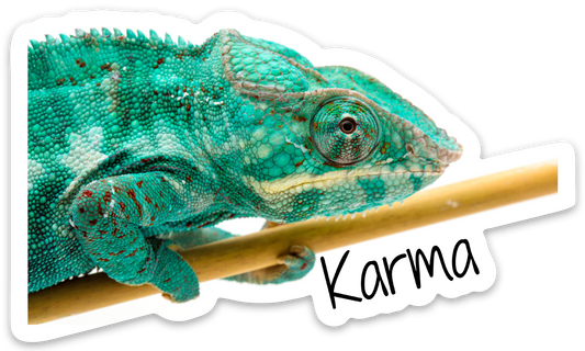 Karma Sticker